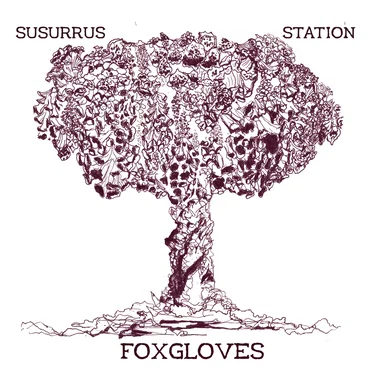 Foxgloves