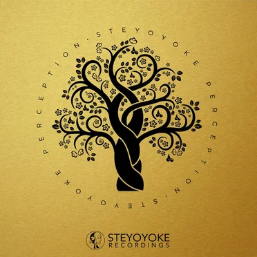 Steyoyoke Perception, Vol. 01 by Various Artists - album cover