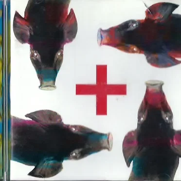 Testa plastica