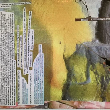 Microphone Feedback Manipulation / Prague Autumn