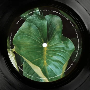 The Metamorphosis of Plants