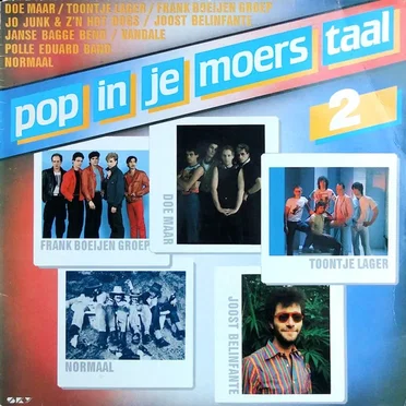 Pop in je moers taal, 2 by Various Artists - album cover