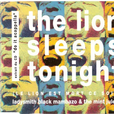 The Lion Sleeps Tonight