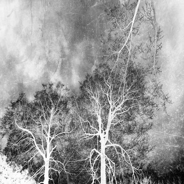 Winter Hymns by Reflections From Nowhere - album cover