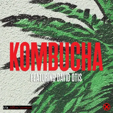Kombucha by TiRon & Ayomari - album cover