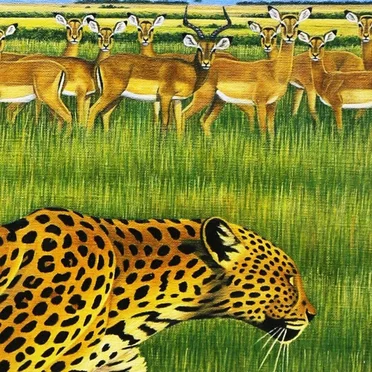 zoo