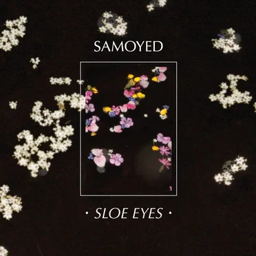 Sloe Eyes / Guts by Samoyed - album cover