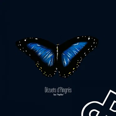 De chenille à papillon by Dézuets d’Plingrés - album cover