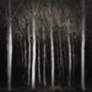 Very Lost by Various Artists - album cover