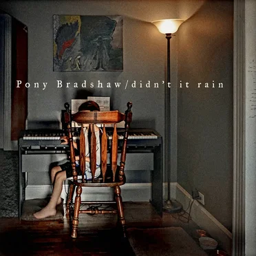 Didn't It Rain by Pony Bradshaw - album cover