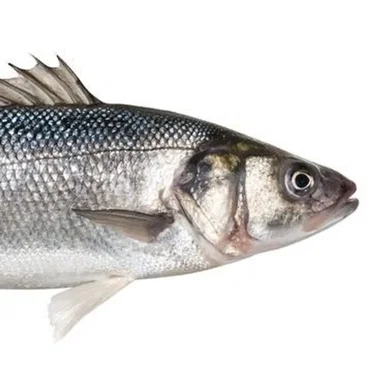 Seafood毒