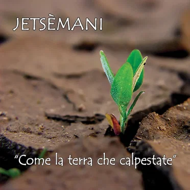 Come la terra che calpestate