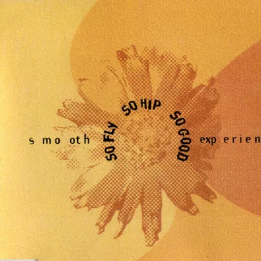 So Fly So Hip So Good by Smooth Experience - album cover