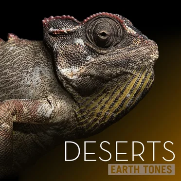 Deserts by Earth Tones - album cover