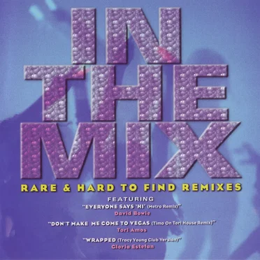 In the Mix: Rare and Hard to Find Remixes by Various Artists - album cover