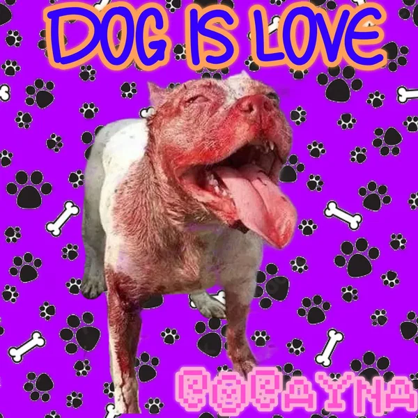 DOG IS LOVE