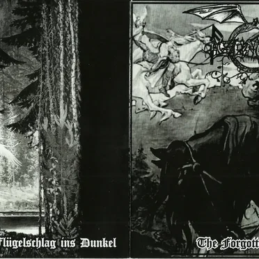 Nur ein Flügelschlag ins Dunkel / Forgotten Pages
