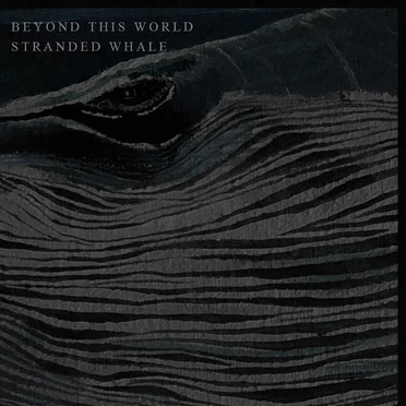 Beyond This World