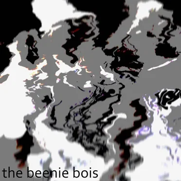 The Beenie Bois On The Street