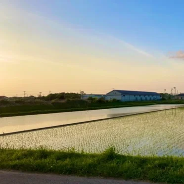 生まれただけ。