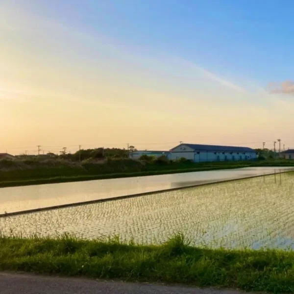 生まれただけ。