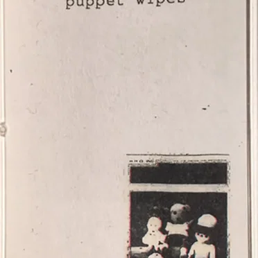 it’s called punk are you stupid? by Puppet Wipes - album cover
