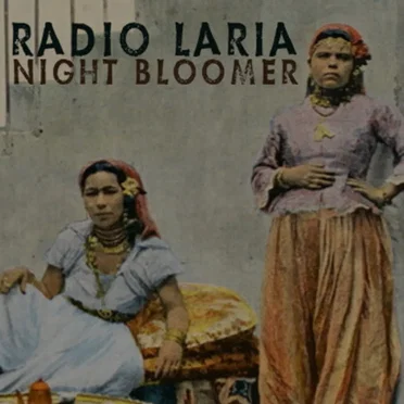 Night Bloomer by Radio Laria - album cover