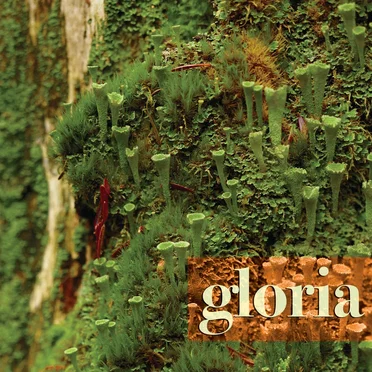 Gloria