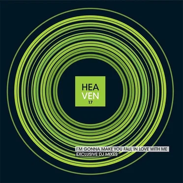 I’m Gonna Make You Fall in Love With Me (DJ remixes)