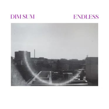 Endless by Dim Sum - album cover