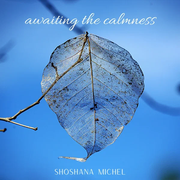 Awaiting the Calmness