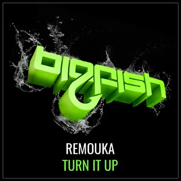 Turn It Up by REMOUKA - album cover