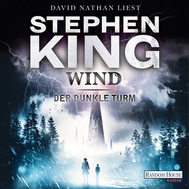 Wind: Der dunkle Turm 8 by Stephen King - album cover