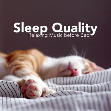 Sleep Quality: Relaxing Music Before Bed by Asian Zen Spa Music Meditation - album cover