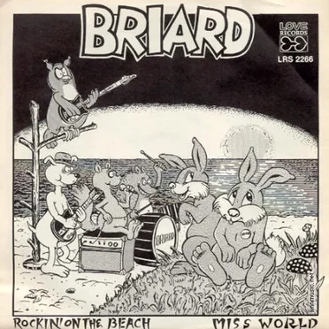 Rockin' on the Beach / Miss World