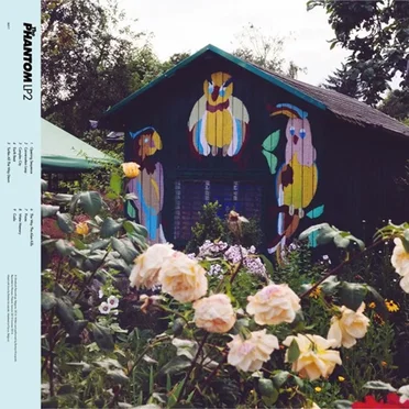 LP 2 by The Phantom - album cover