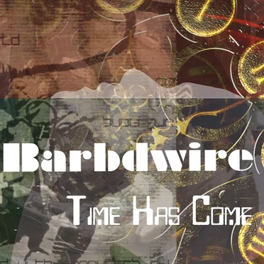 Time Has Come by Barbdwire - album cover
