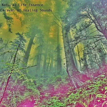 Caravan of Healing Sounds
