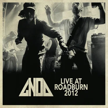 Live at Roadburn 2012