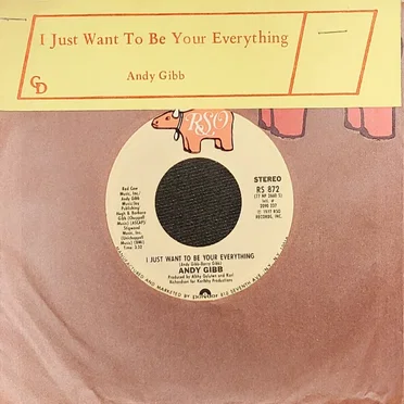 I Just Want To Be Your Everything