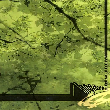 New Entry by Various Artists - album cover