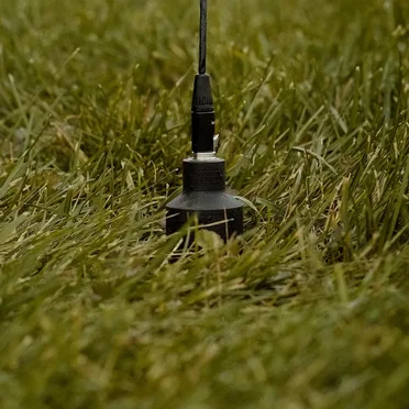 Rain on Grass