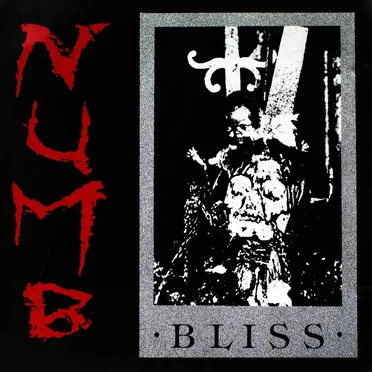 Bliss by Numb - album cover