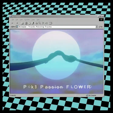 P o k e P a s s i o n F l o w e r by Trucks Passing Trucks - album cover