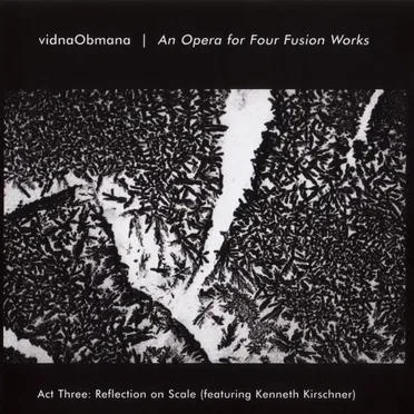 An Opera for Four Fusion Works (Act Three: Reflection on Scale)