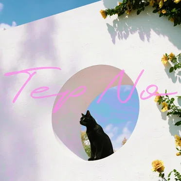 Let Them See My Heart by Tep No - album cover