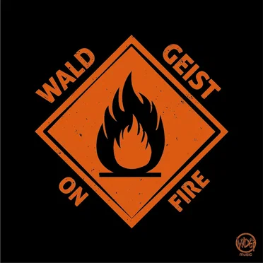 On Fire by Wald Geist - album cover