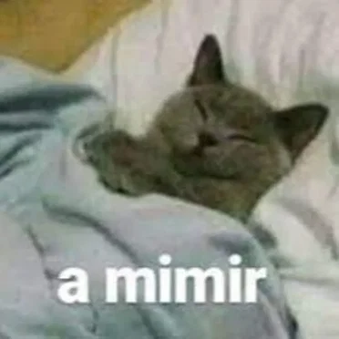 GRSHAGAAAAAAAAAA
