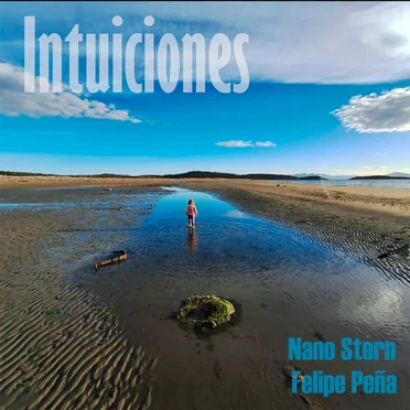 Intuiciones