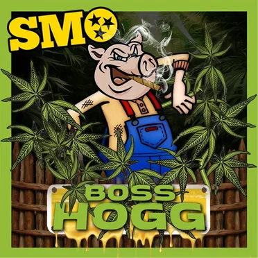 BOSS HOGG